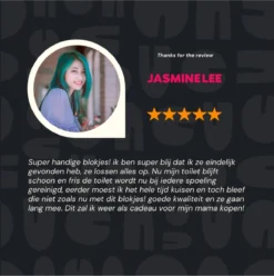 DONGOODS® Toiletblokjes Voor Inbouwreservoirs – WC-blokjes – Toiletblokken In Een Voordeelverpakking – 12 Stuks -Schoonmaakartikelen Winkel 1197x1200 5