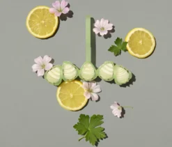 Marcel's Green Soap Toiletblok Geranium & Citroen - 55 Gram -Schoonmaakartikelen Winkel 1200x1023