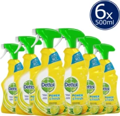 Dettol - Power & Fresh - Allesreinger Spray - Citrus - 6 X 500 Ml