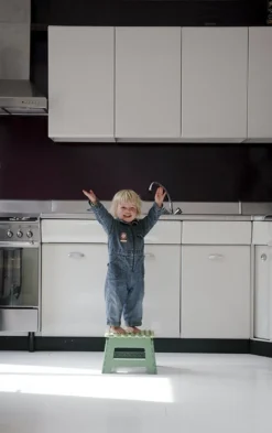 PUHLMANN - Inklapbare Kruk, JAMES, Plastic, Groen, 22 Cm Hoog, Max 100kilo -Schoonmaakartikelen Winkel 755x1200